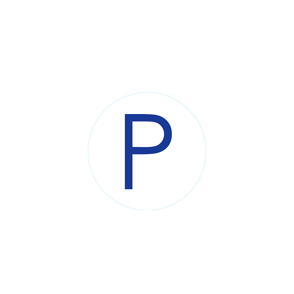 Bit - Initial "P"