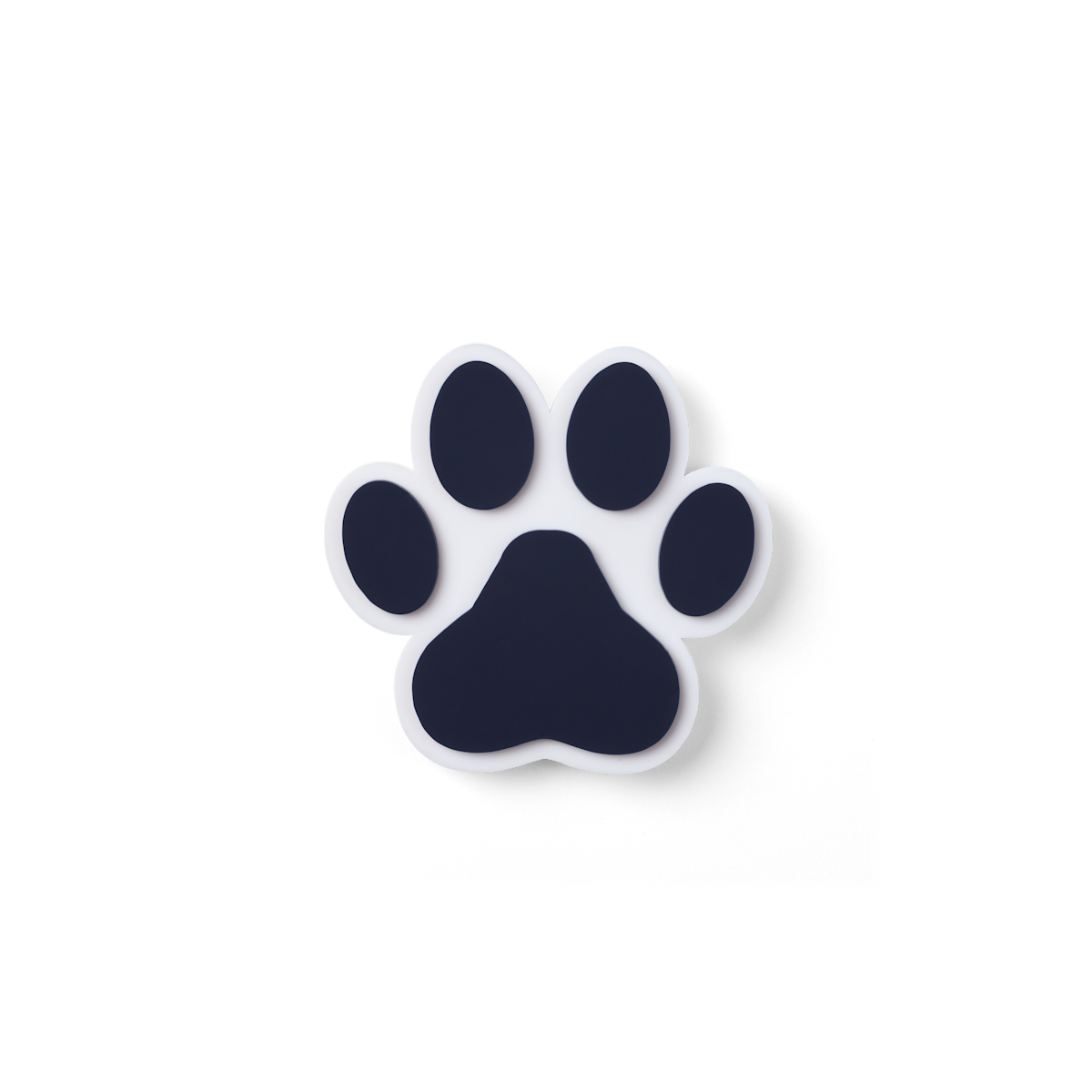 Bit  - Paw
