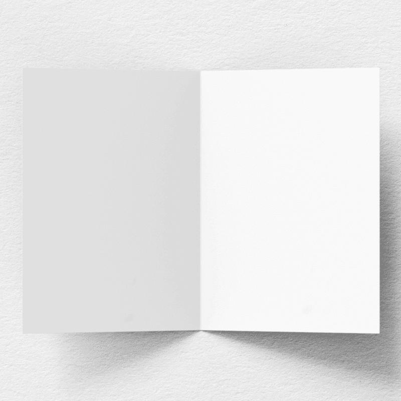 Trick or Treat Greeting Card